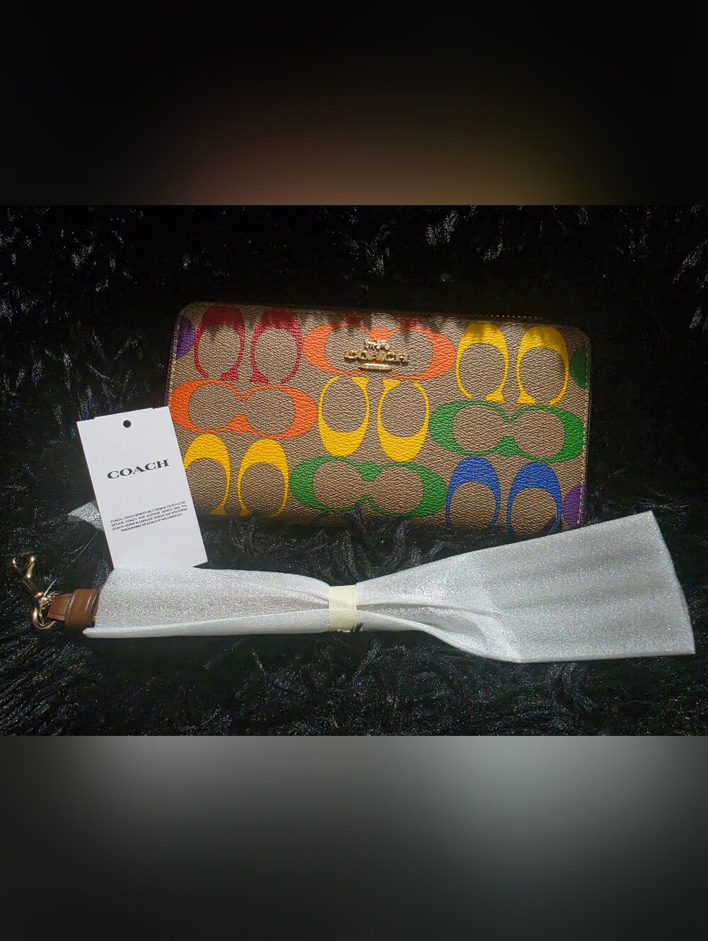 COACH Limited Edition Rainbow Signature Zip Wallet - Multicolor